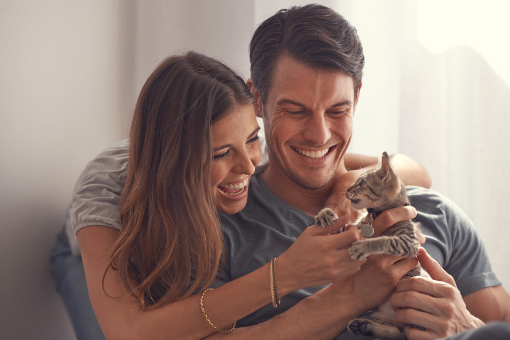 Best Pets for Apartment Living
