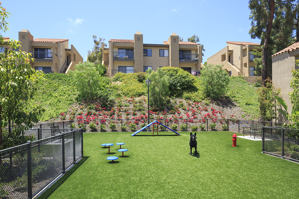 Apartments with Dog Parks