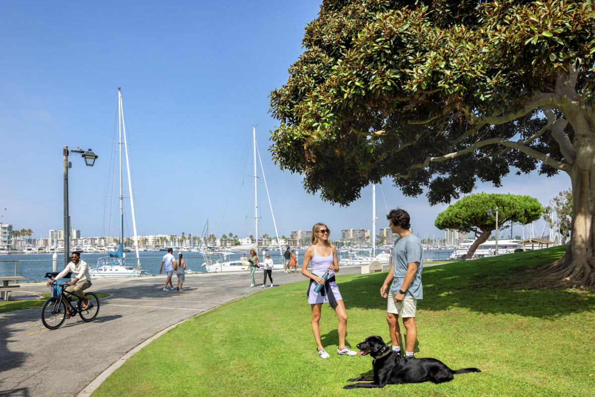 Photo rendering of the boat marina of Playa Vista with a man and woman standing on a park lawn with their dog in the foreground.