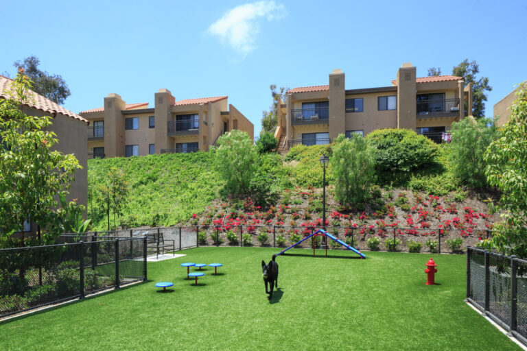 Picture of Rental Living | Apartment Resources to Love Where You Live