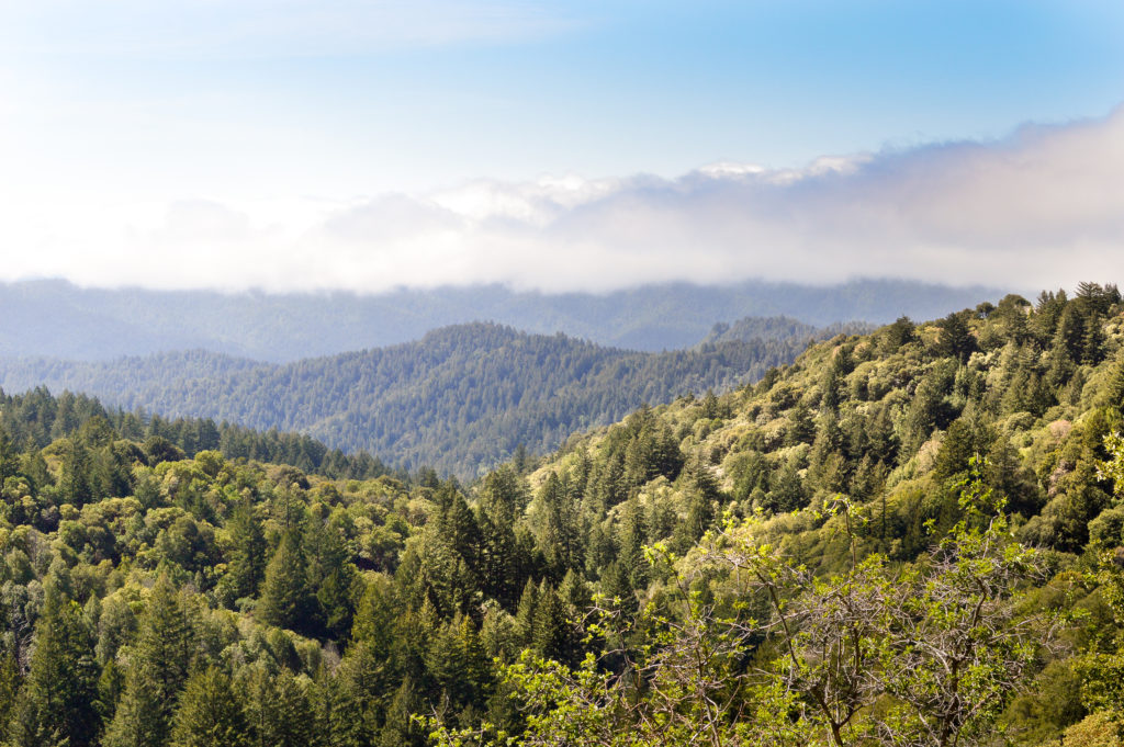 Castle Rock State Park