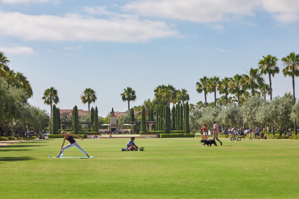 Outdoor Parks at Irvine Company Apartments