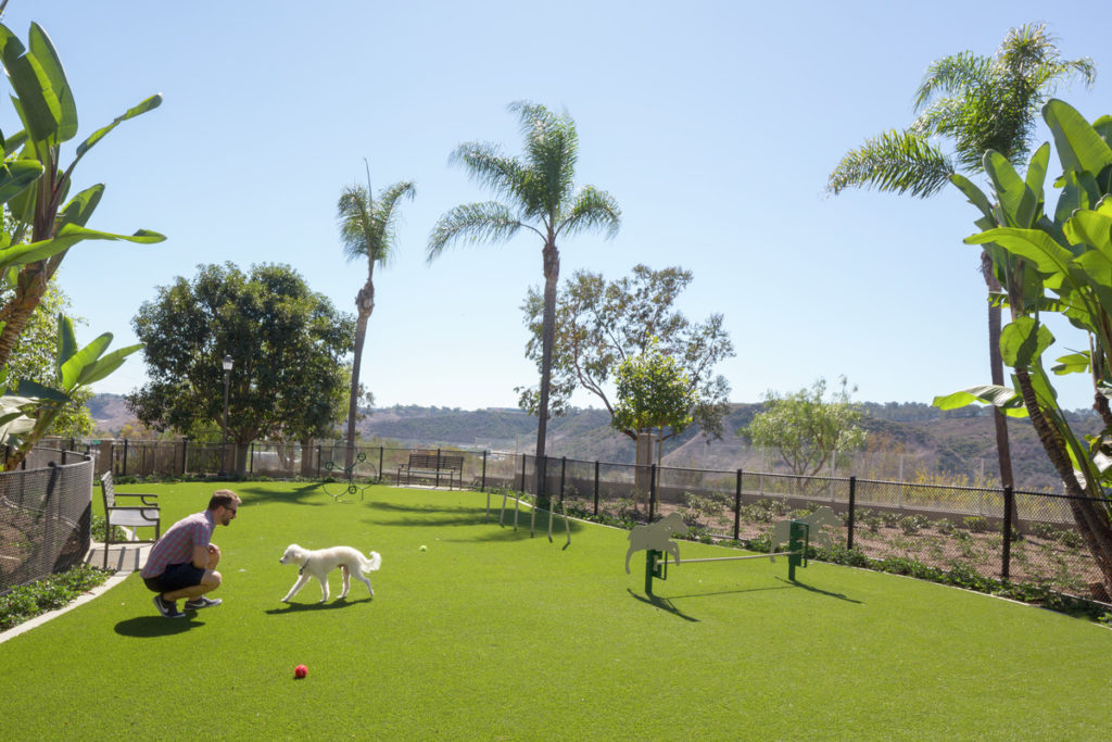 Dog Park at Torrey Villas