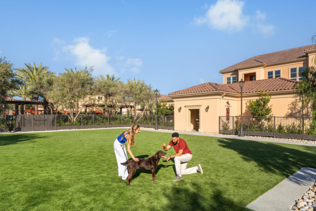 Man and woman playing with a dog in a dog park