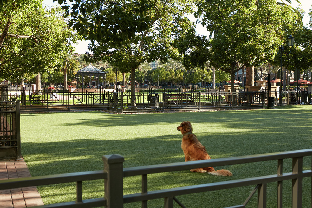 Dog Park at The Park at Irvine Spectrum