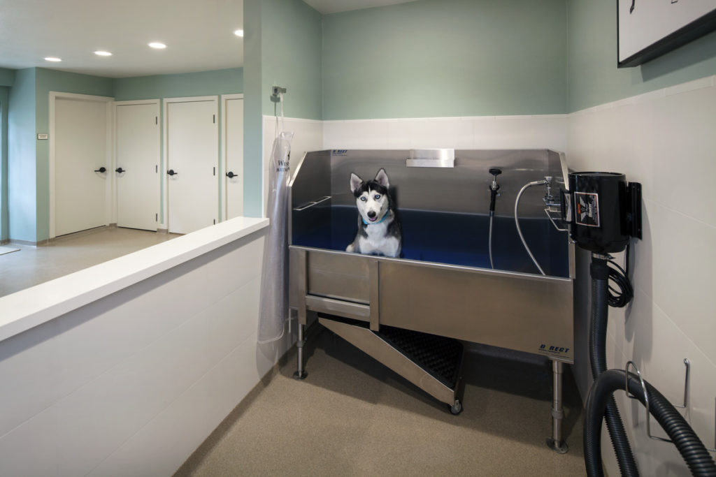 Apartments with Dog Wash in San Diego