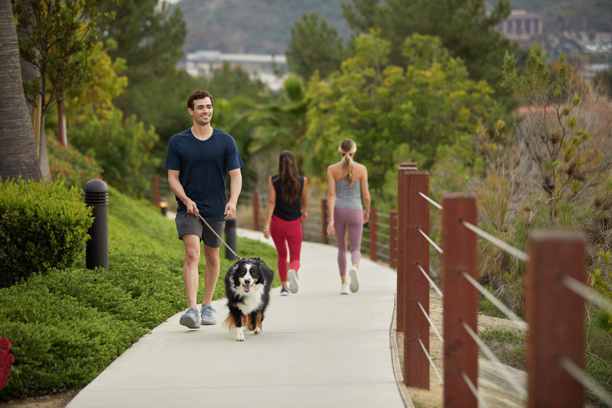 Pitbull Friendly Apartments San Diego