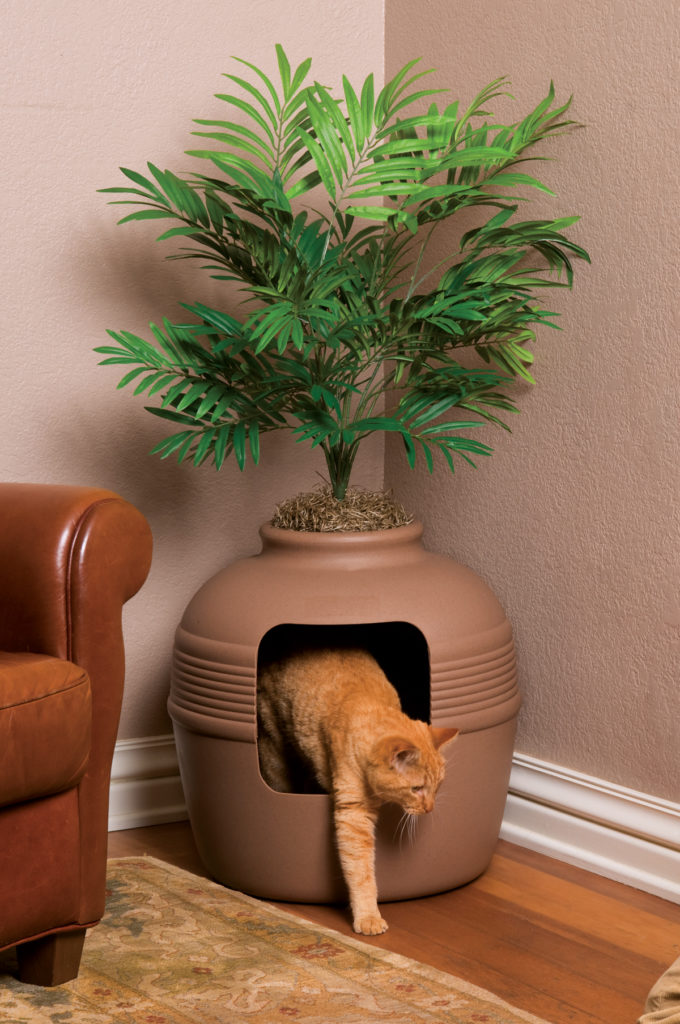 Potted Plant Litter Box